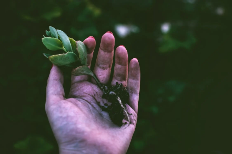 THE NEED FOR GARDENING